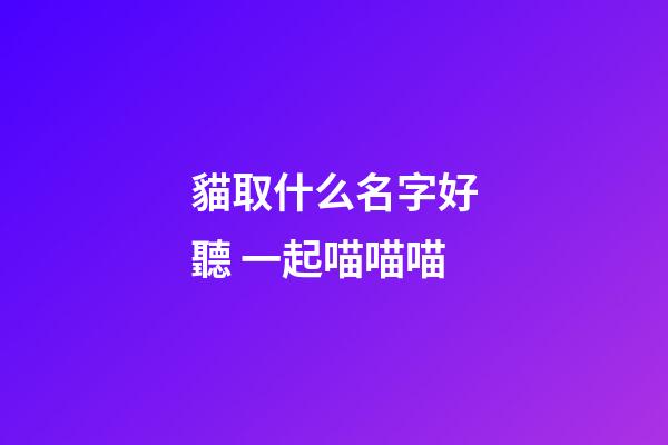 貓取什么名字好聽 一起喵喵喵